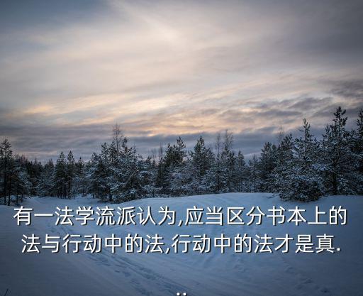 法學派,社會法學派:從社會本位出發研究法律現象