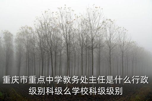 重慶市重點中學教務處主任是什么行政級別科級么學校科級級別