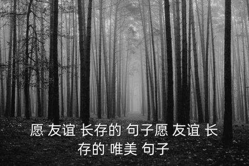 愿 友誼 長存的 句子愿 友誼 長存的 唯美 句子