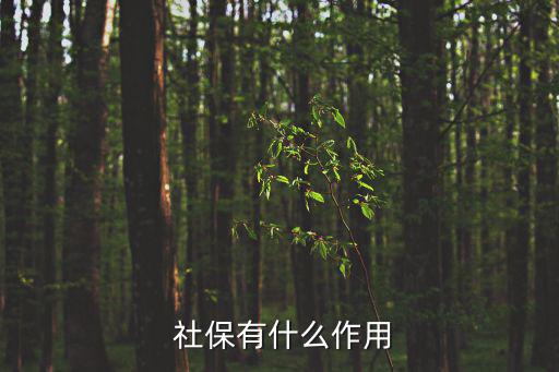 社保有啥用,中國社會保險是重要組成部分占據核心地位