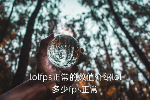  lolfps正常的數值介紹lol多少fps正常