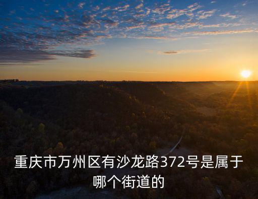 重慶市萬州區(qū)有沙龍路372號(hào)是屬于哪個(gè)街道的