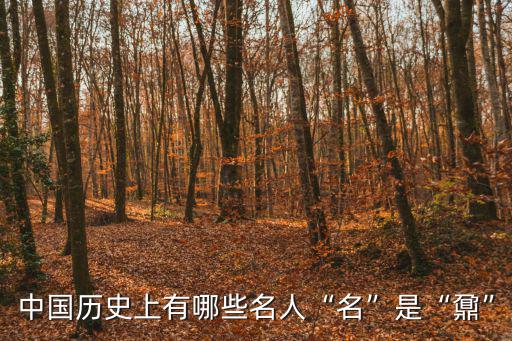 蔣光鼐,抗日將領蔣光鼐將軍