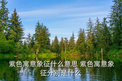 紫色代表什么意思,紫禁城之紫氣東來之紫薇