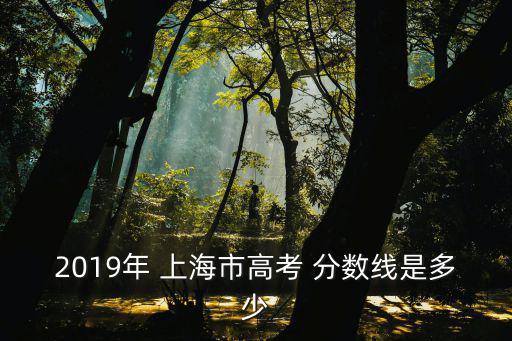 2019年 上海市高考 分數線是多少