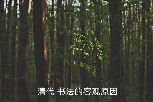  清代 書法的客觀原因