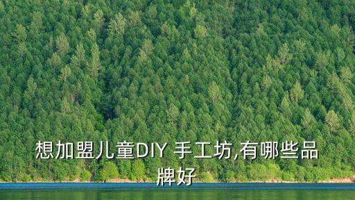 手工坊加盟,小蜜蜂diy兒童手工平方加盟需要什么材料?