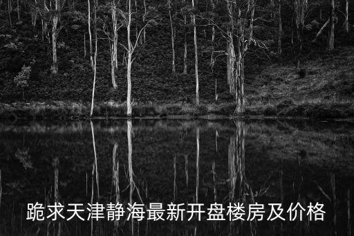 跪求天津靜海最新開盤樓房及價格
