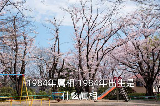 1984年屬什么生肖,老鼠之所以能排在生肖榜單前列?