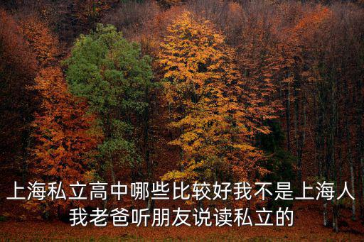 上海私立高中哪些比較好我不是上海人我老爸聽朋友說讀私立的