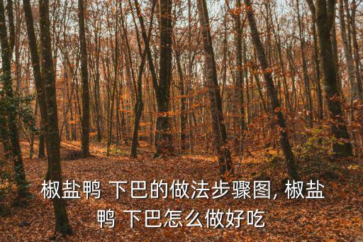 椒鹽鴨下巴的做法,秘制椒鹽鴨子底油怎么做?