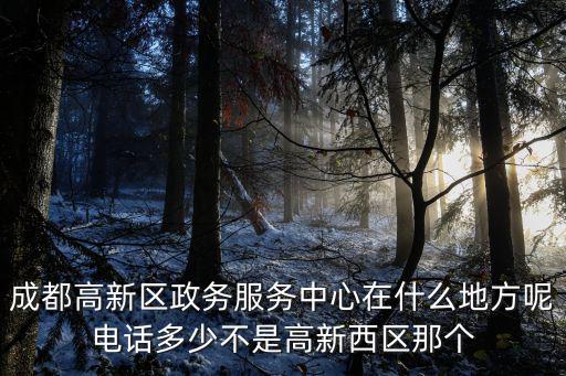 成都市高新區無國界電話，SGS四川分公司或成都辦事處在哪里啊有沒有聯系方式