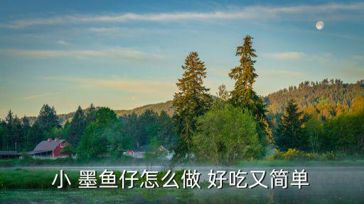 墨魚仔怎么做好吃,墨魚怎么做好吃?