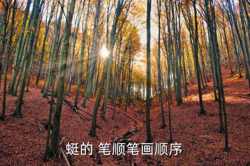 蜻的筆順,蜻蜓幼蟲富蛋白質是好的高蛋白食物