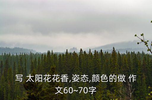 寫 太陽花花香,姿態(tài),顏色的做 作文60~70字