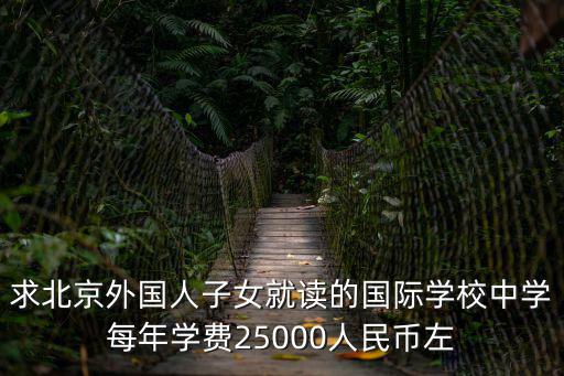 求北京外國人子女就讀的國際學校中學每年學費25000人民幣左