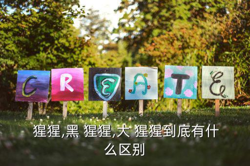  猩猩,黑 猩猩,大 猩猩到底有什么區別