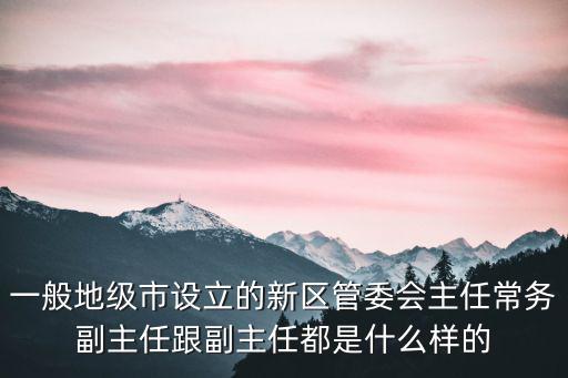 一般地級市設立的新區(qū)管委會主任常務副主任跟副主任都是什么樣的