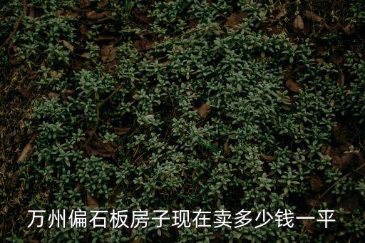 重慶市萬州區長石板，重慶石板在那個區