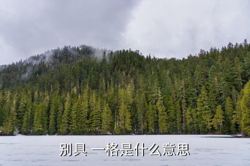別什么一格,unique一格:還有一種風格