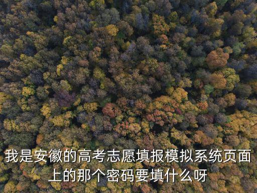 高考志愿填報模擬，云南高考生可上網(wǎng)模擬填報高考志愿上哪個網(wǎng)站