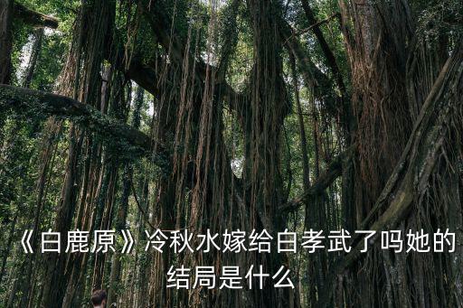 《白鹿原》冷秋水嫁給白孝武了嗎她的結局是什么