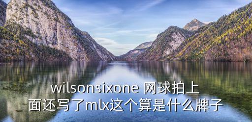 威爾勝網球拍,仿仿費德勒球拍威爾遜網球球拍銷量不俗