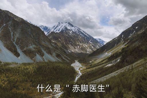 赤腳醫(yī)生,赤腳醫(yī)生的歷史也就此結(jié)束