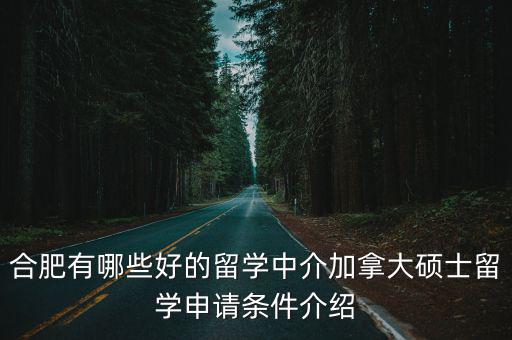 合肥有哪些好的留學中介加拿大碩士留學申請條件介紹