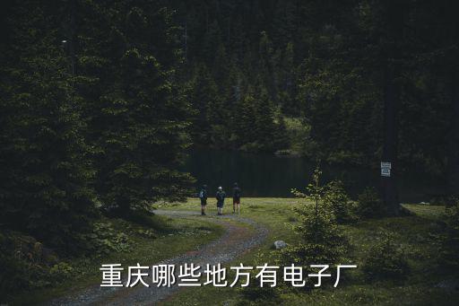 重慶市誼緣杰電子廠，重慶那里有電子廠