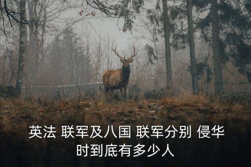  英法 聯軍及八國 聯軍分別 侵華時到底有多少人