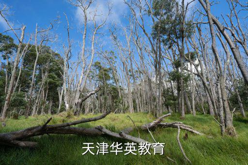 天津華英教育