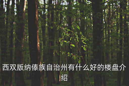 西雙版納傣族自治州有什么好的樓盤介紹
