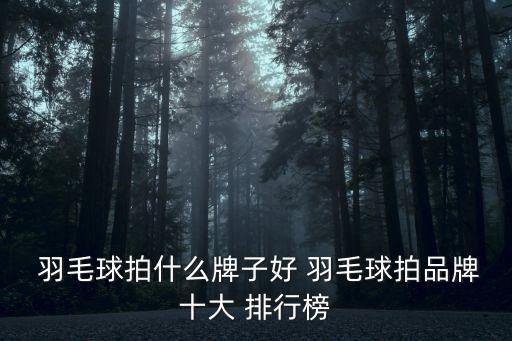  羽毛球拍什么牌子好 羽毛球拍品牌十大 排行榜