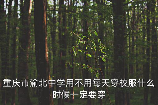 重慶市渝北中學(xué)用不用每天穿校服什么時(shí)候一定要穿