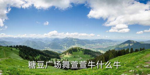 糖豆廣場舞萱萱牛什么牛