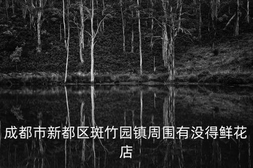 成都市新都區(qū)斑竹園鎮(zhèn)周圍有沒得鮮花店