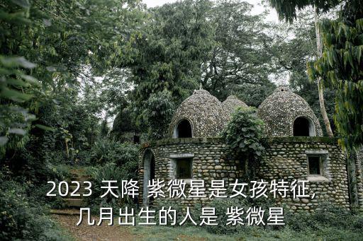 2023 天降 紫微星是女孩特征,幾月出生的人是 紫微星
