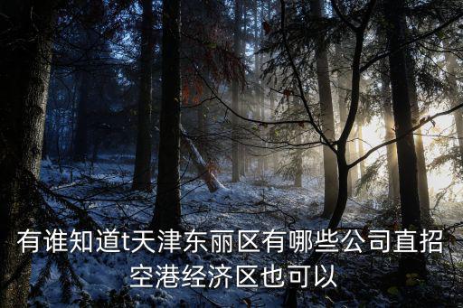 有誰知道t天津東麗區有哪些公司直招 空港經濟區也可以