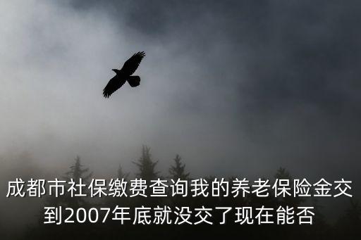 成都市社保繳費查詢我的養老保險金交到2007年底就沒交了現在能否