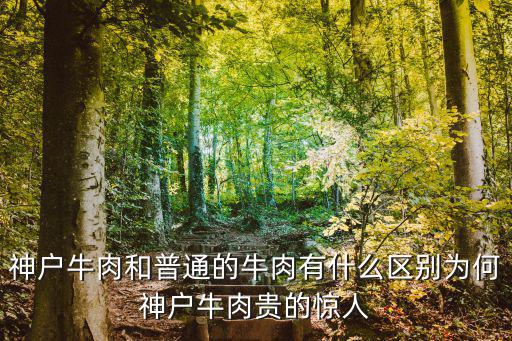 神戶牛肉和普通的牛肉有什么區別為何神戶牛肉貴的驚人