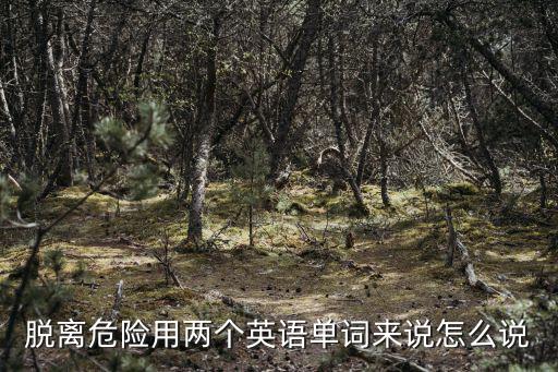 脫離危險英文，脫離危險用兩個英語單詞來說怎么說