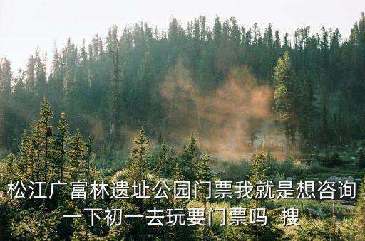 松江廣富林遺址公園門票我就是想咨詢一下初一去玩要門票嗎  搜