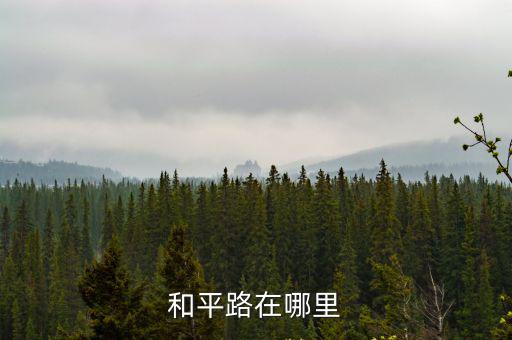 重慶市和平路在哪里，和平路在那
