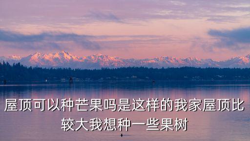 屋頂可以種芒果嗎是這樣的我家屋頂比較大我想種一些果樹
