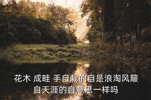  花木 成畦 手自栽的自是浪淘風簸自天涯的自意思一樣嗎