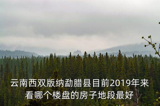 云南西雙版納勐臘縣目前2019年來看哪個樓盤的房子地段最好