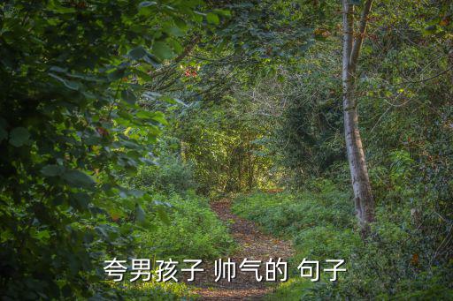 夸男孩子 帥氣的 句子