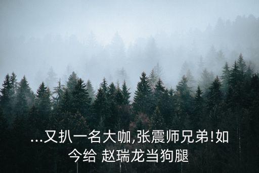 ...又扒一名大咖,張震師兄弟!如今給 趙瑞龍當(dāng)狗腿