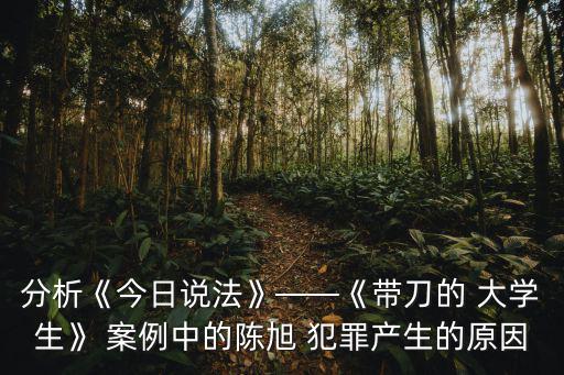 分析《今日說法》——《帶刀的 大學生》 案例中的陳旭 犯罪產生的原因